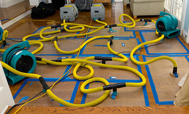 Professional Water Extraction technician working in Long Branch, NJ